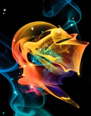 ...::*dise&ntilde;o grafico en la internet*:::....